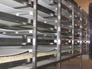 Тоннельный конвейер АСТ (150-2000 кг/час) - для шоковой заморозки пельменей, вареников, куриных и рыбных полуфабрикатов, овощей, фруктов стойких к механическому воздействию