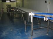 Рольганги и транспортеры с различными типами лент и приводов - Рольганги и транспортеры с различными типами лент и приводов, различного назначения и конфигураций (поворотные, наклонные, загрузные, инспекционные);